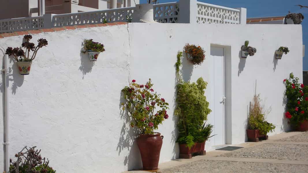 Comer en Tabarca