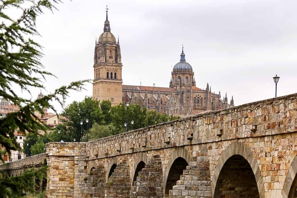 Comida tipica Salamanca