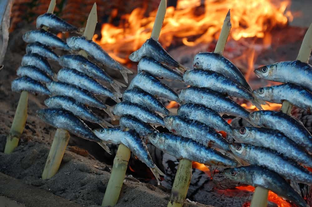 Comida tipica de Malaga