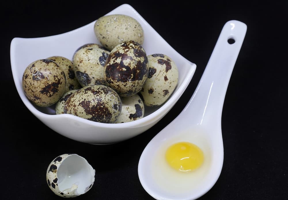 Como abrir huevos de codorniz