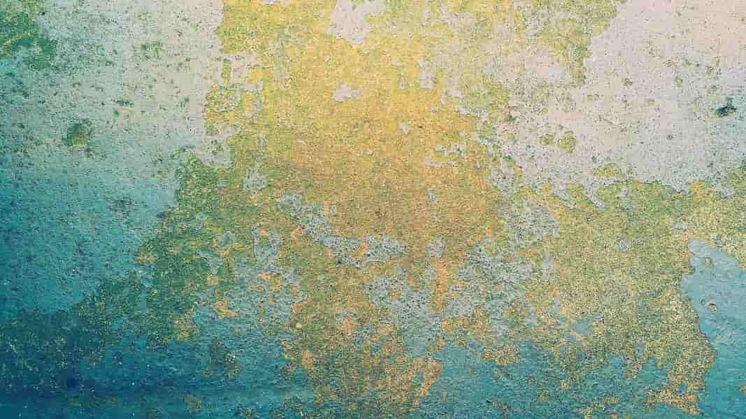 Como arreglar una pared con humedad