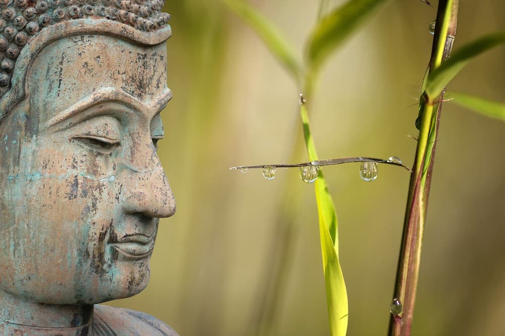 Como decorar alrededor de un buda
