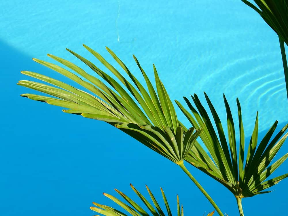 Como decorar alrededor de una piscina desmontable