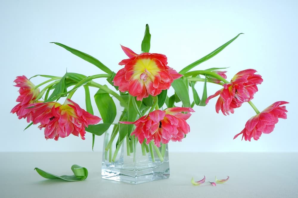 Como decorar jarrones de suelo de cristal