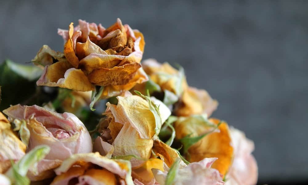Como decorar una cesta de mimbre con flores secas