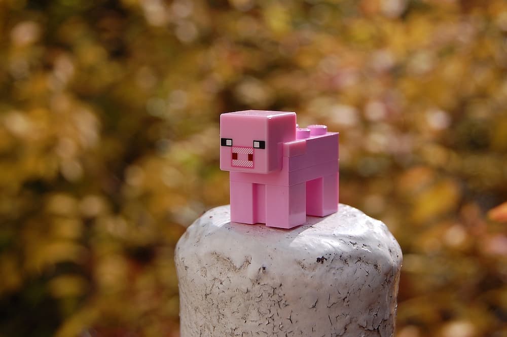 Como hacer papel en Minecraft