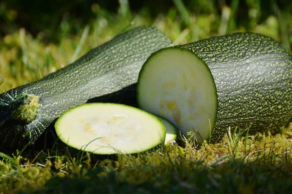 Como hacer pisto de calabacín casero