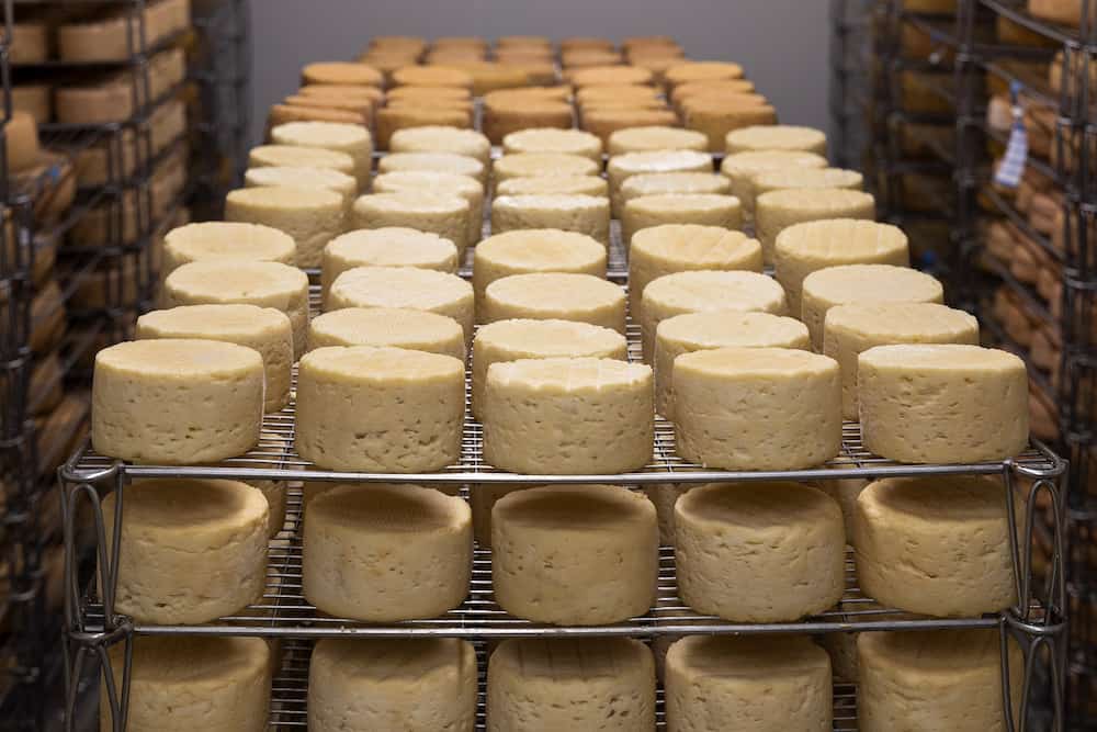 Como hacer queso en casa