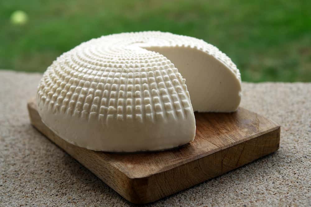 Como hacer queso en casa