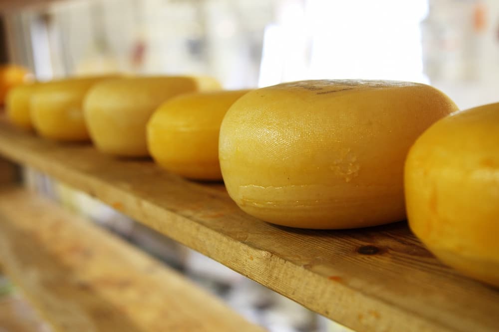Como hacer queso en casa