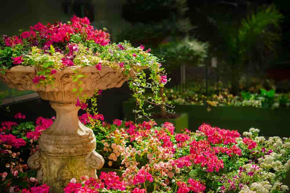 Como hacer un jardin bonito y barato