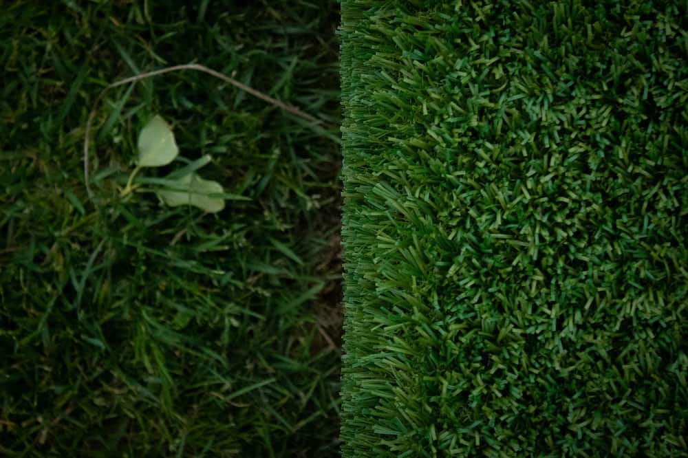 Como limpiar el cesped artificial