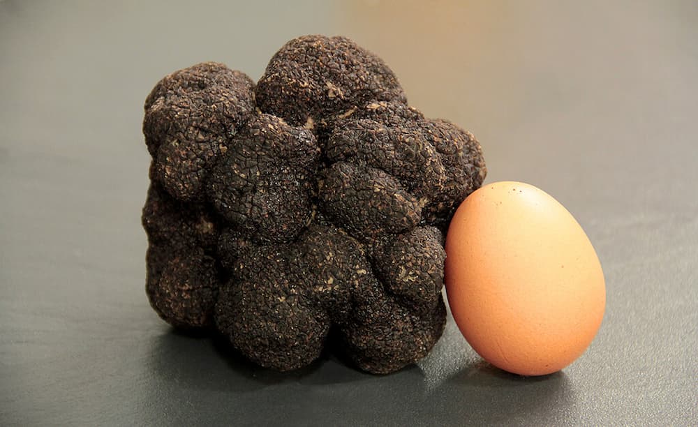 Como trufar huevos