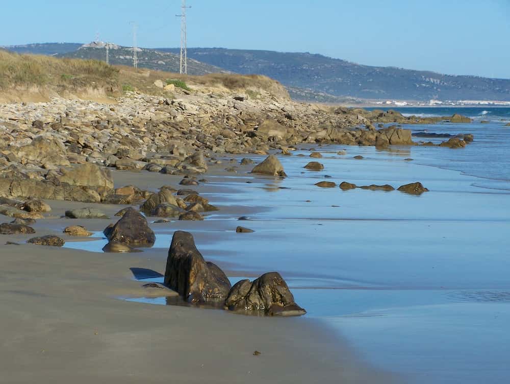 Donde comer en Barbate