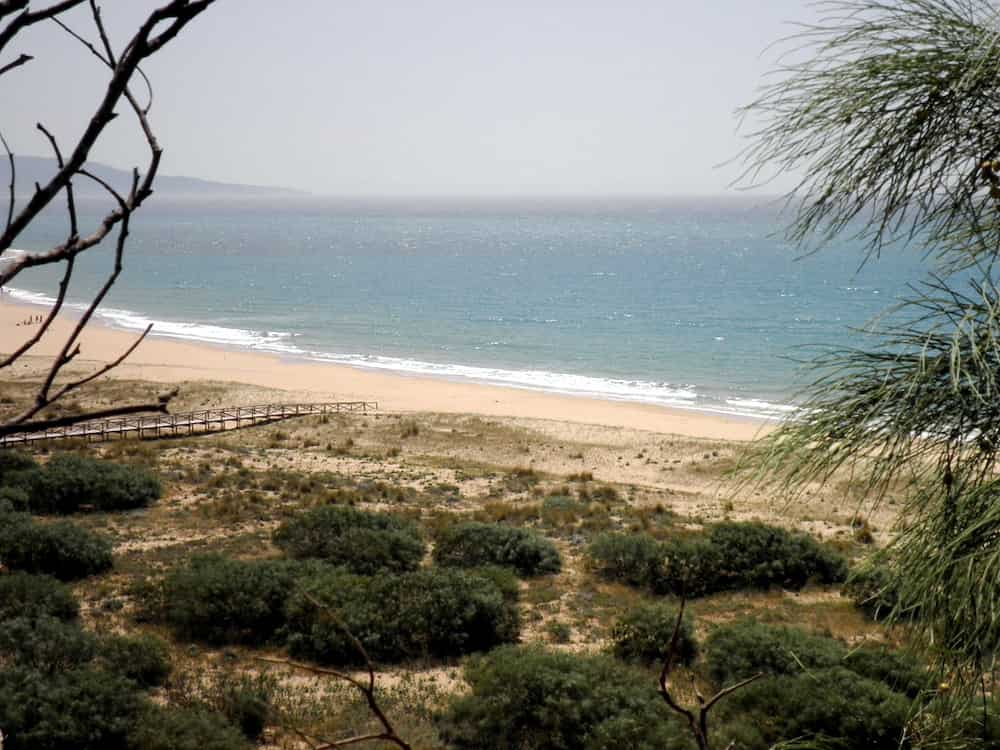 Donde comer en Barbate