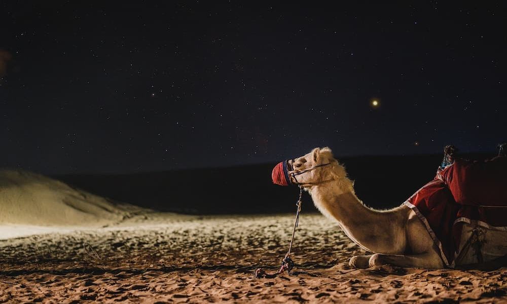 Donde esta Dubai
