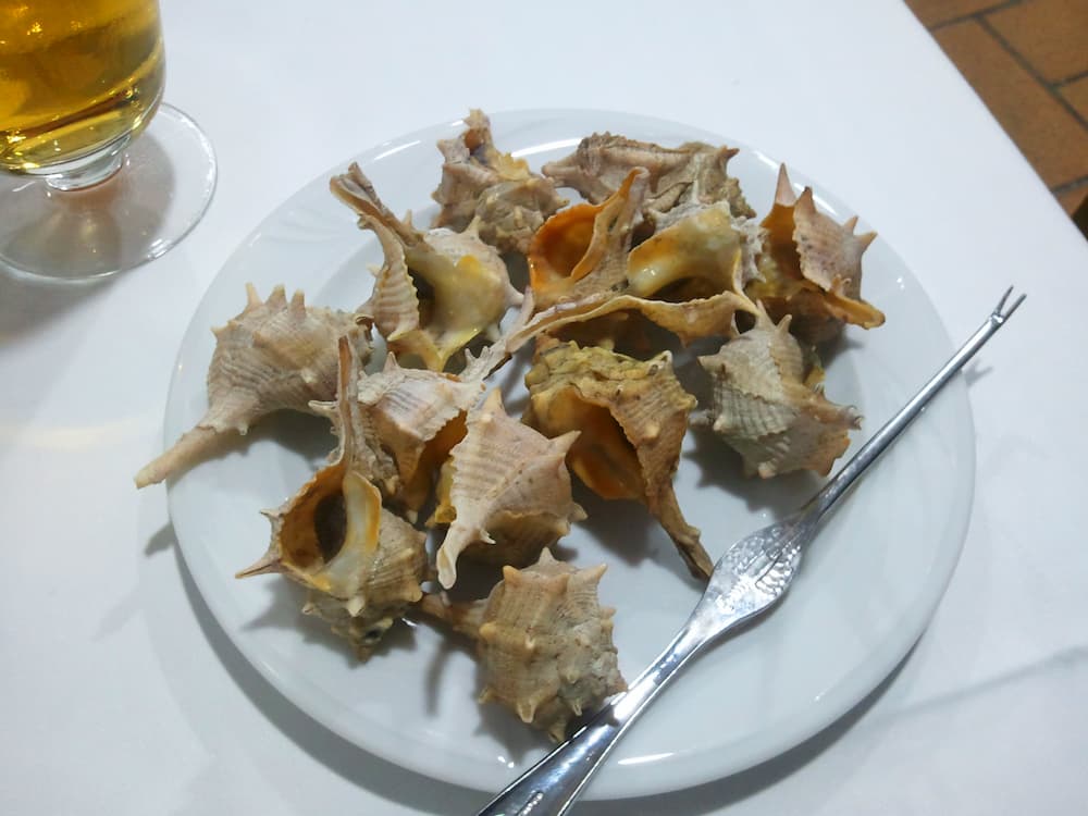 Como cocer cañaillas