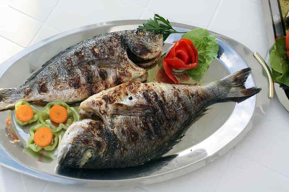 Soñar q comes pescado