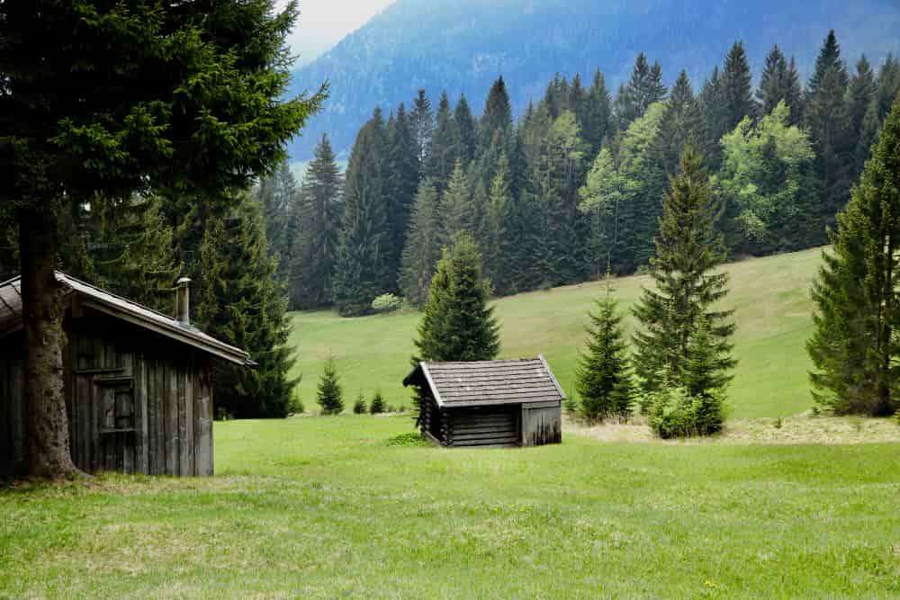 Casa forestal