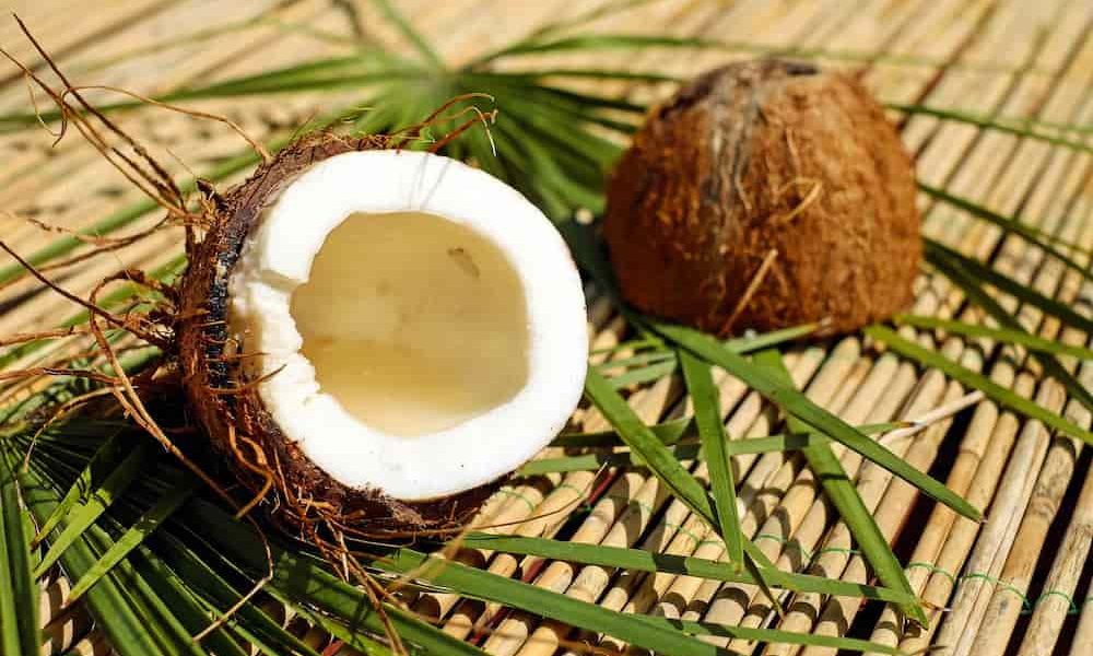 Como hacer conservas de coco: la receta más rápida y fácil