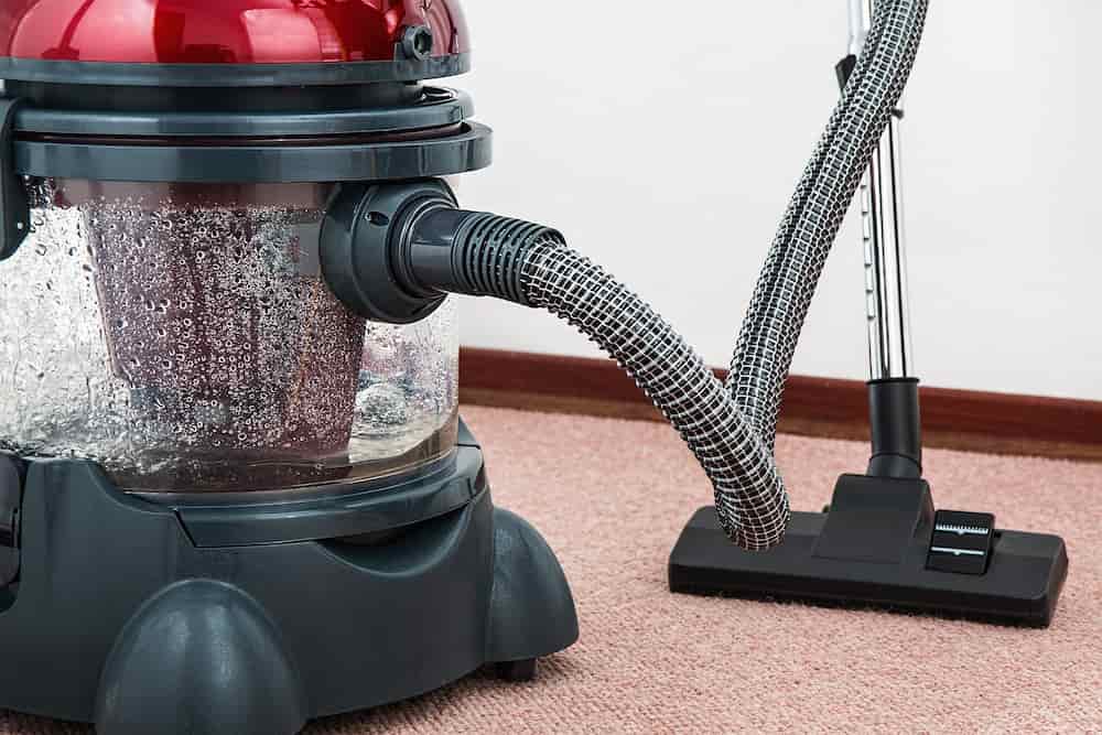 Cuanto cobra una empleada de hogar por 20 horas semanales