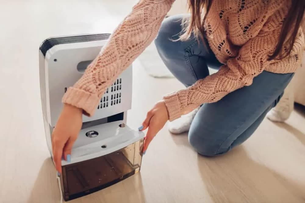Diferencia entre humidificador y deshumidificador