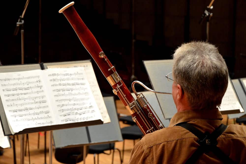 Fagot instrumento musical