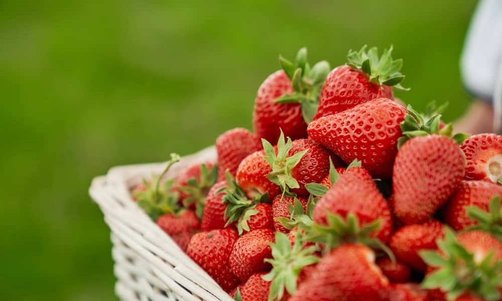 Como conservar las fresas: consejos y errores a evitar