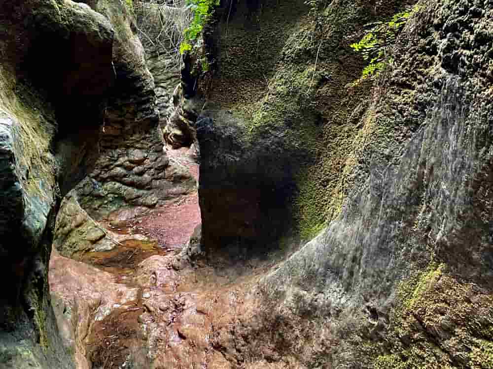 Estrecho de la Arboleja: la guía más completa para visitar