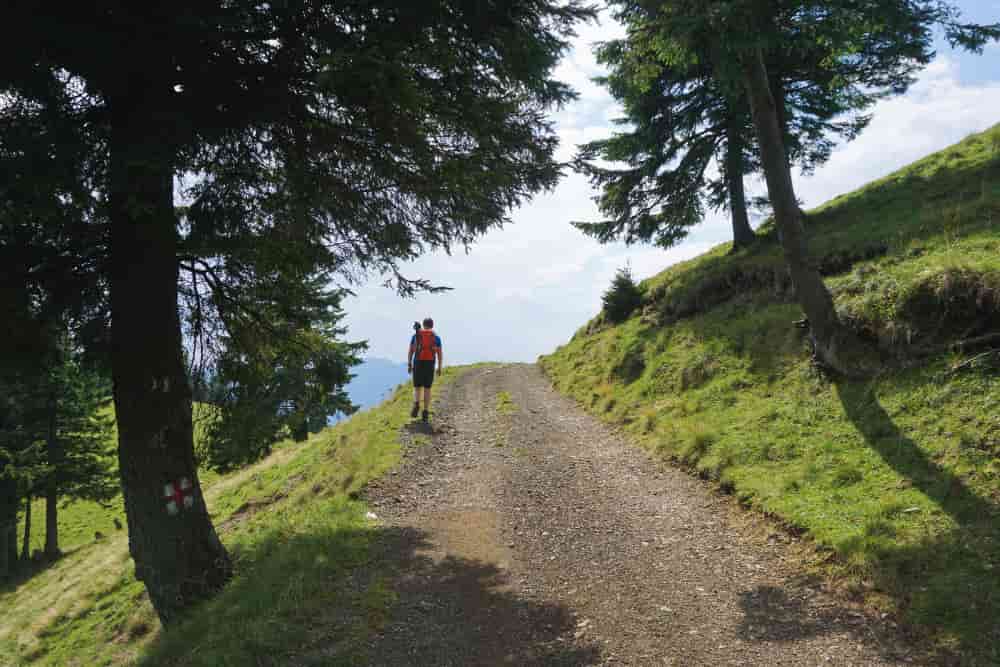 Mirador de la Figuerassa