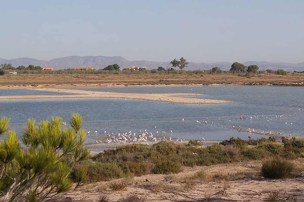 Que ver en Santa Pola