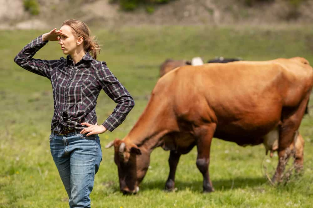 Cuantos estomago tiene una vaca