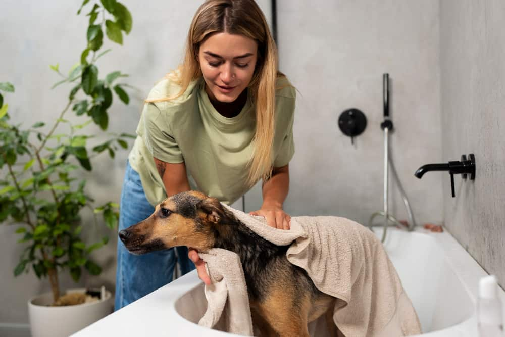 Peluqueria canina a domicilio