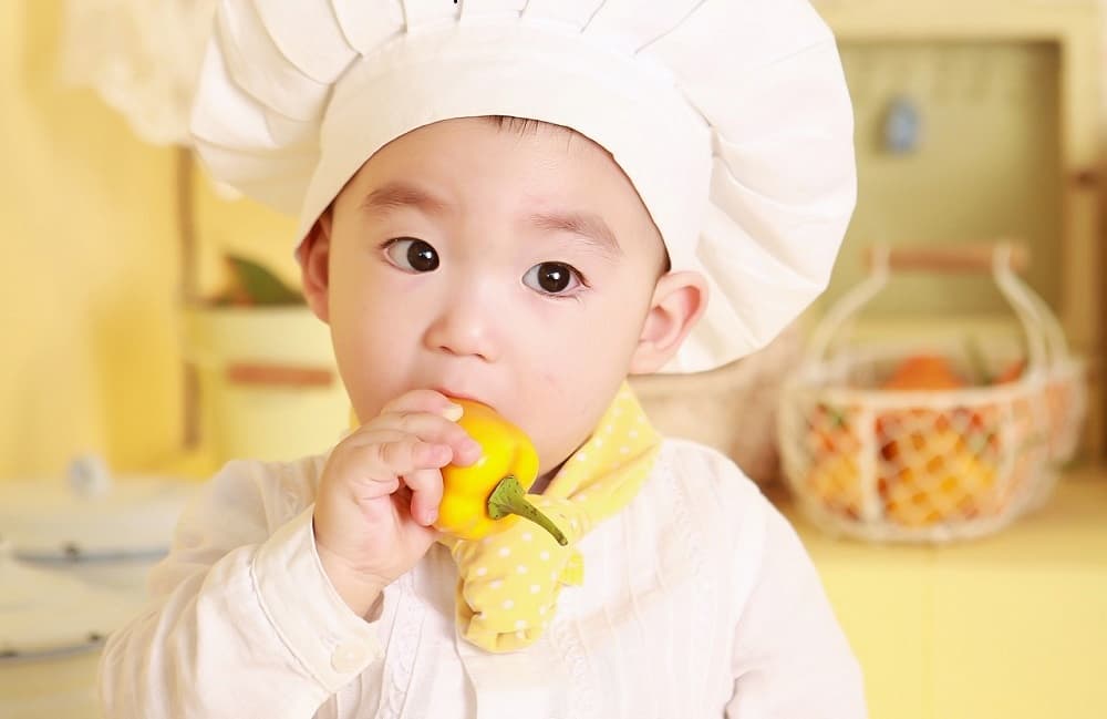 Recetas comidas blandas para no masticar