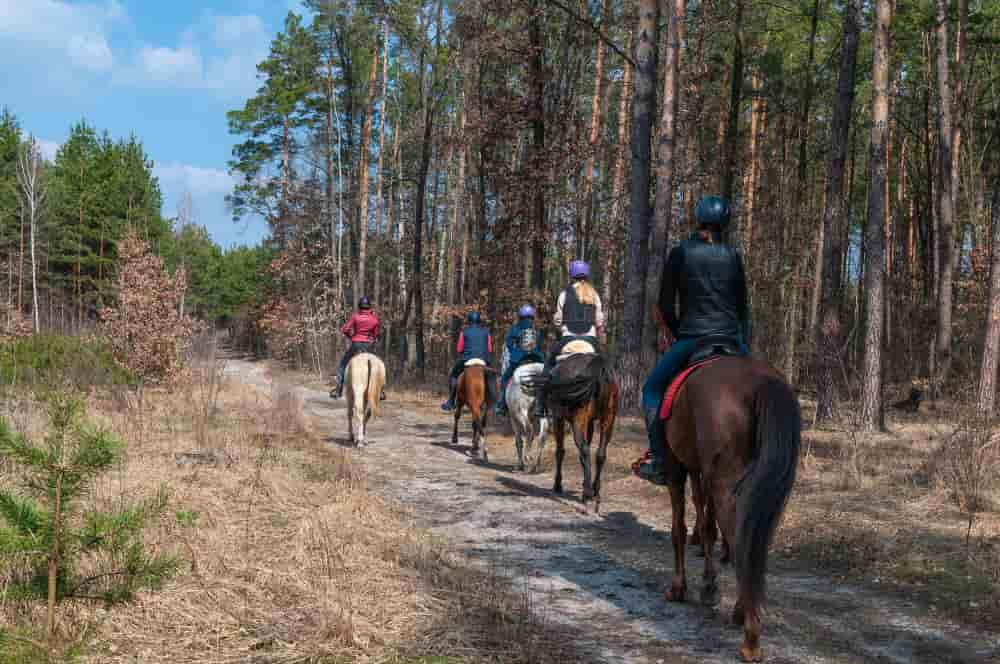 Rutas a caballo Madrid