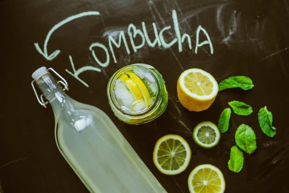 como hacer kombucha